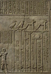 Detail eines Reliefs